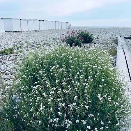 Cosy Retreat In Normandy Le Havre